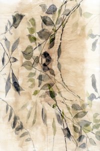 Ätherischer botanischer Fluss von cartissi