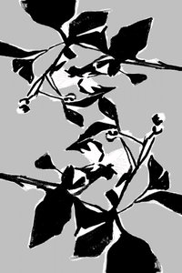 Grafisches botanisches Muster