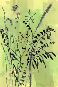 Grüne botanische Silhouetten von cartissi