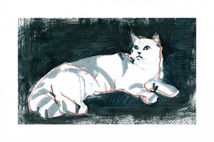 Liegende weiße Katze von cartissi