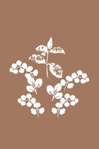Minimalistische weiße Blätter von cartissi