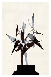 Moderne botanische Stillleben von cartissi
