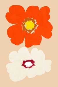 Orange und Weiße Blüten