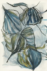 Organische blaue Blätter von cartissi
