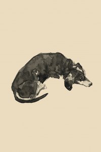 Entspannter Tintenhund