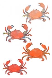 Meeresfrüchte Krabben Aquarell