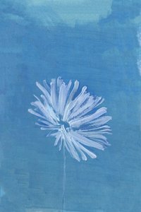 Serene Blaue Blüte