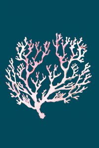 Weiche Rosa Koralle von cartissi