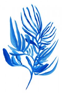 Tropisches Blaues Laub von cartissi