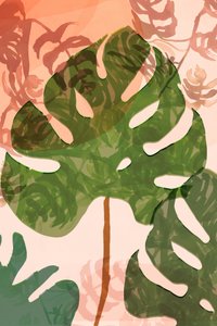Tropische Monstera-Blätter von cartissi