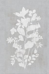 Weiße Blumensilhouette von cartissi