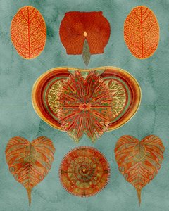 Komplexes botanisches Arrangement