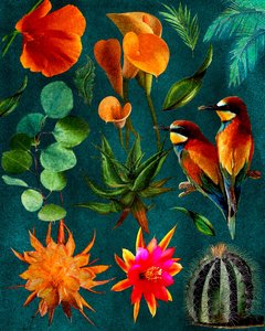 Tropische Vögel und Blüten