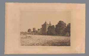 Ansicht von Schloss Brederode von einer Wiese aus gesehen