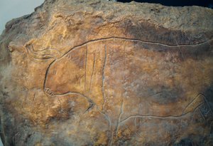Graffito, das einen Stier darstellt. Antike griechische Zivilisation, Magna Graecia von Theodore Charles Ange Coquelin