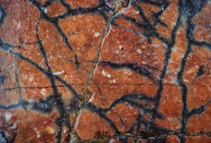 Marmorboden, Detail, Hadriansvilla, 2. Jahrhundert n. Chr., Tivoli, Latium, Italien von Unbekannt Unbekannt