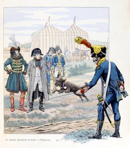 Illustration aus dem Buch „A la gloire des betes“: Der Moustache-Pudel wird dem Kaiser vorgestellt von pseudonym for Onfray de Breville Jacques Job
