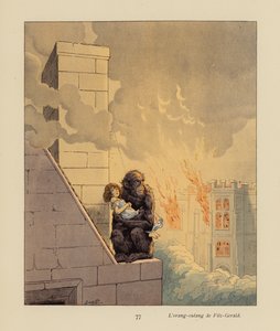 Der Orang-Utan von Fitzgerald