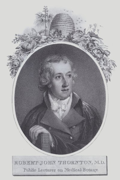 Robert John Thornton (Lithographie) von (after) English School