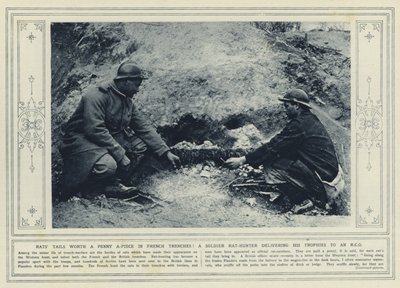 Rattenschwänze einen Penny pro Stück in französischen Schützengräben! Ein Soldat-Rattenjäger liefert seine Trophäen an einen Unteroffizier von (after) English photographer