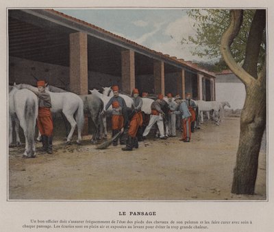 Pflege von (after) French Photographer