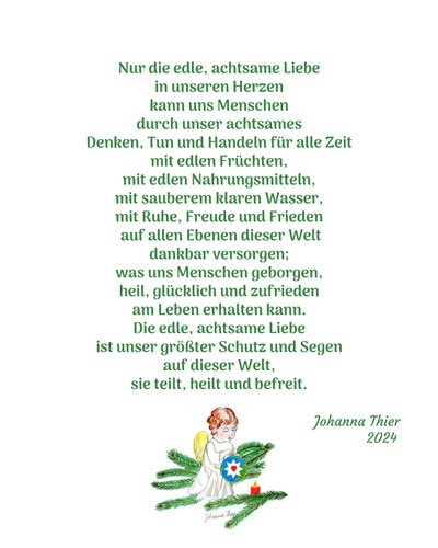 Der Engel der achtsamen Liebe von Johanna Thier