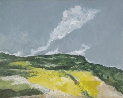 Felder mit gelben Blumen von M. Vet