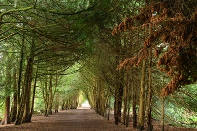 Natur Landschaft von Albert Mansour