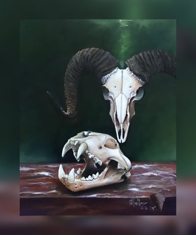 Memento Mori (Studie von Tierschädeln) von Faller Rüdiger - Tician