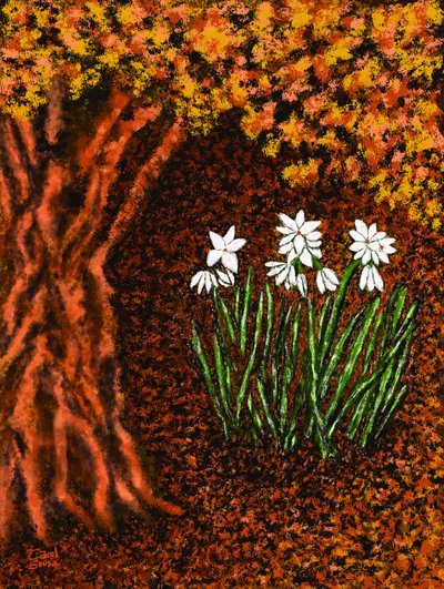 Herbstblumen von Carol Sousa Cuello