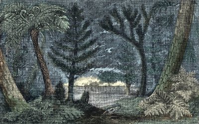Urgeschichte: charakteristische Landschaft mit Sumpf und Wald von A. Demarle