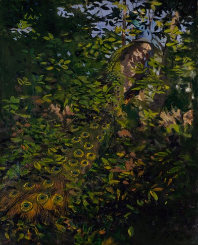 Pfau im Wald, Studie für das Buch Concealing Coloration in the Animal Kingdom von Abbott Handerson Thayer