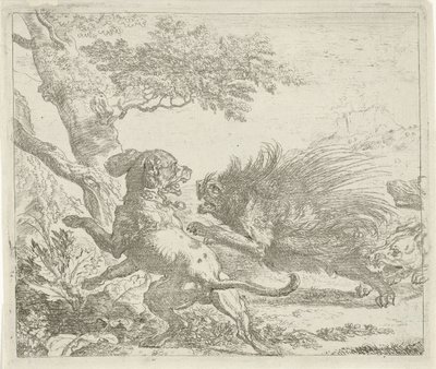 Stachelschwein von Hunden angegriffen von Abraham Danielsz. Hondius