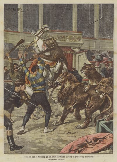 Flucht von Löwen und Löwinnen aus einem Zirkus in Odessa während der Proben zur Vorstellung von Achille Beltrame