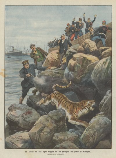 Die Jagd auf einen Tiger, der aus einem Käfig im Hafen von Marseille entkommen ist von Achille Beltrame