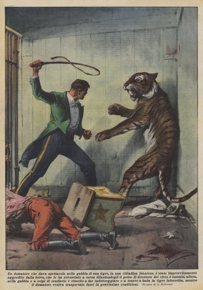 Ein Dompteur, der in einem französischen Städtchen in einem Tigerkäfig eine Show gab... von Achille Beltrame