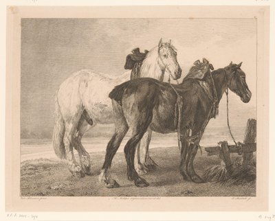 Zwei Pferde in Flusslandschaft von Adam von Bartsch