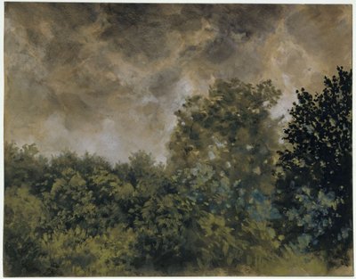 Blick auf Laubgehölz von Adolph Menzel