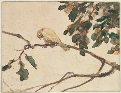Kanarienvogel auf einem Eichenast von Adolph Menzel
