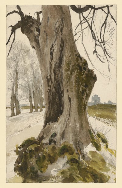 Hohler Baumstumpf, im Hintergrund eine Baumgruppe von Adolph Menzel