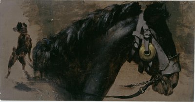 Kopf eines Pferdes und Hund von Adolph Menzel