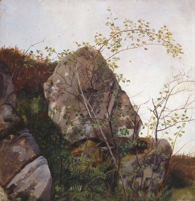  von Adolph Tidemand