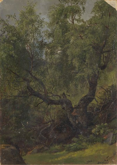  von Adolph Tidemand
