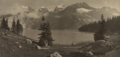 [Alpenlandschaft] von Adolphe Braun
