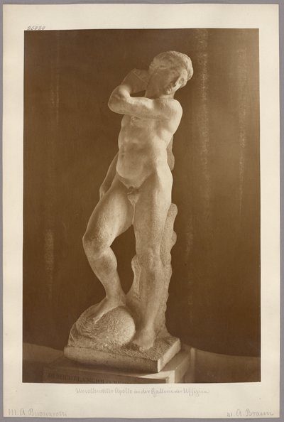 Florenz: Michelangelos unvollendeter Apollo in der Galleria degli Uffizi von Adolphe Braun