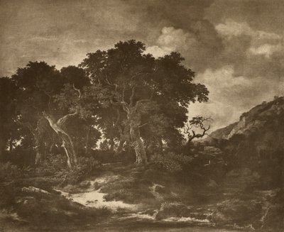 Landschaftsgemälde von Ruysdael von Adolphe Braun