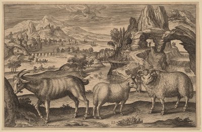 Eine Ziege, ein Mutterschaf und ein Widder von Adriaen Collaert