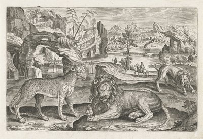Löwen und Leopard (Serie: Vierpotige dieren, Animalivm Qvaddrvpedvm) von Adriaen Collaert