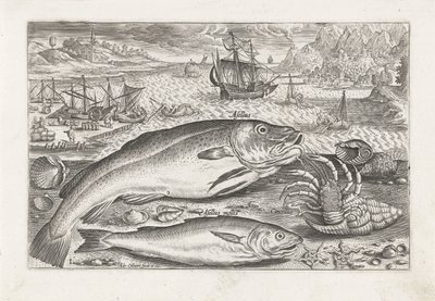 Zwei Fische am Strand von Adriaen Collaert