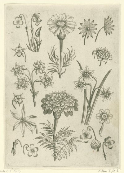 Verschiedene Blumen, Veilchen und Narzissen von Adriaen Collaert